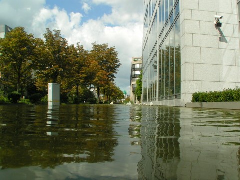 Frankfurt Palmgarten