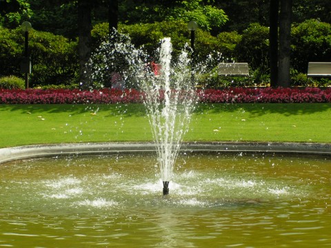 Frankfurt Palmgarten