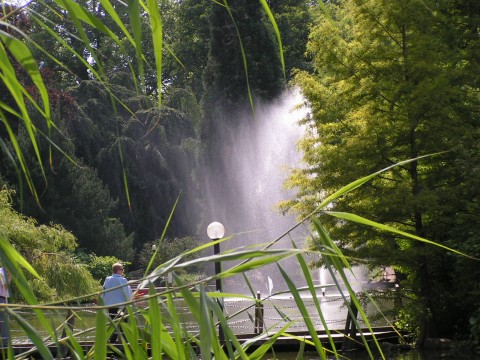 Frankfurt Palmgarten